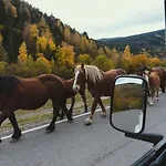 Διαμέρισμα El Piolet De *
